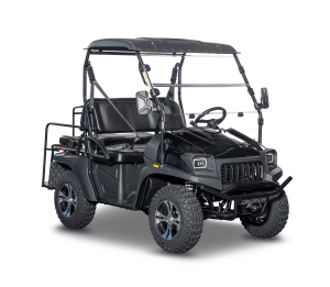 Bighorn 200 GVXL-T DF (High / Low Gear) Personal Golf Cart